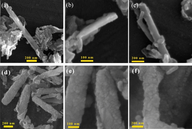 PMC10693565 – Fig8