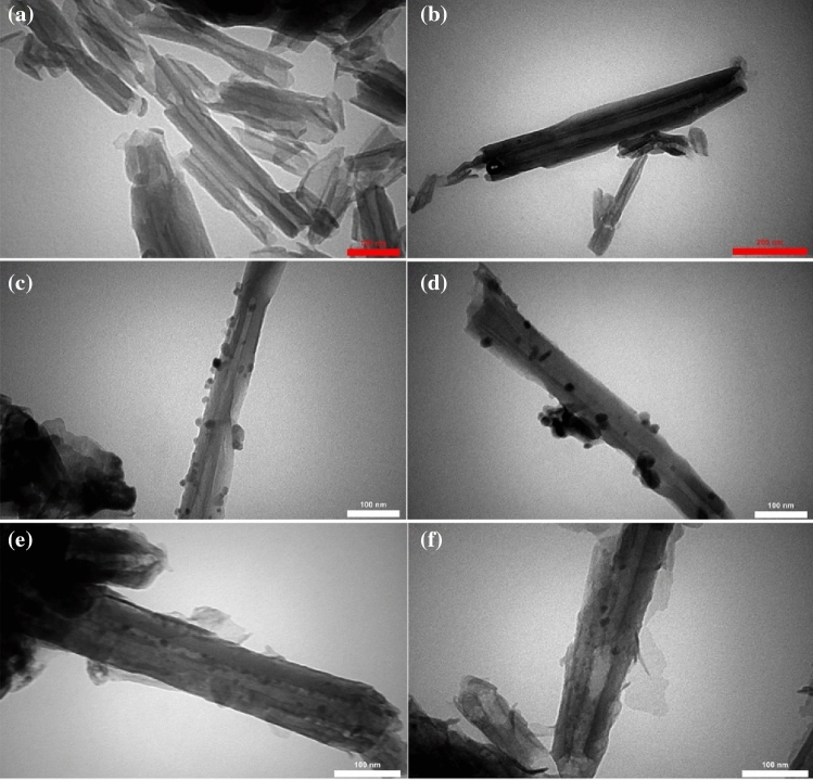 PMC10693565 – Fig9