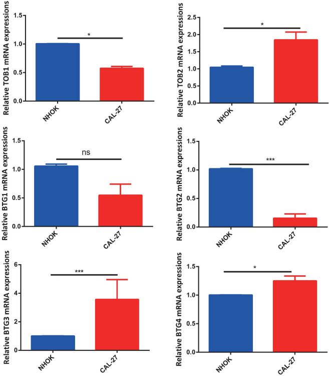 PMC10703880 – Fig11