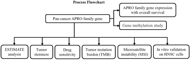 PMC10703880 – Fig1