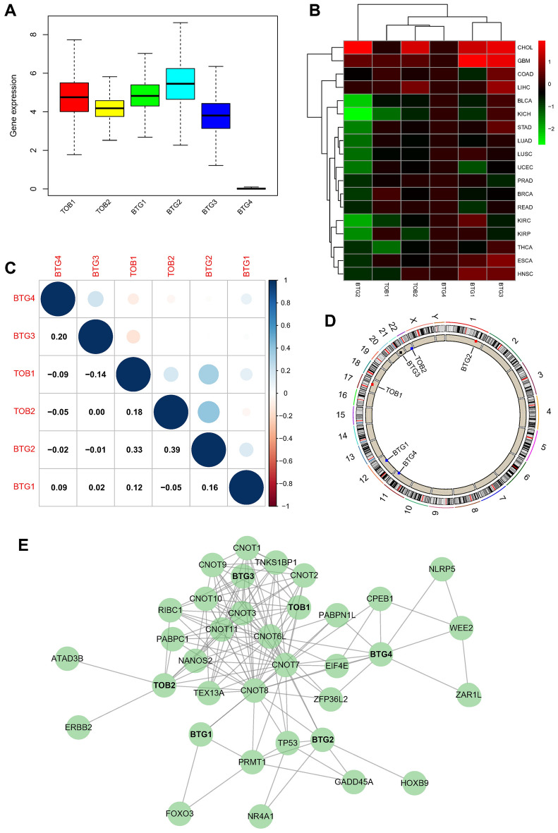 PMC10703880 – Fig2