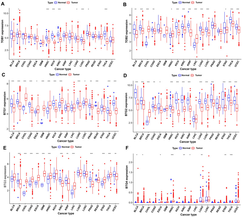 PMC10703880 – Fig3
