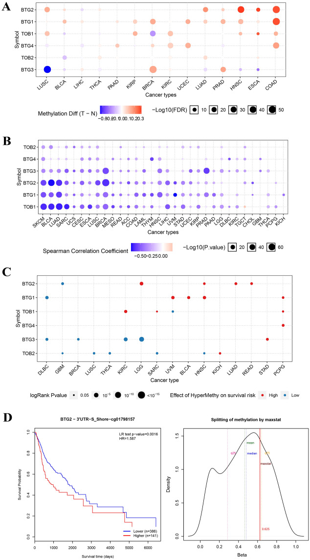 PMC10703880 – Fig5