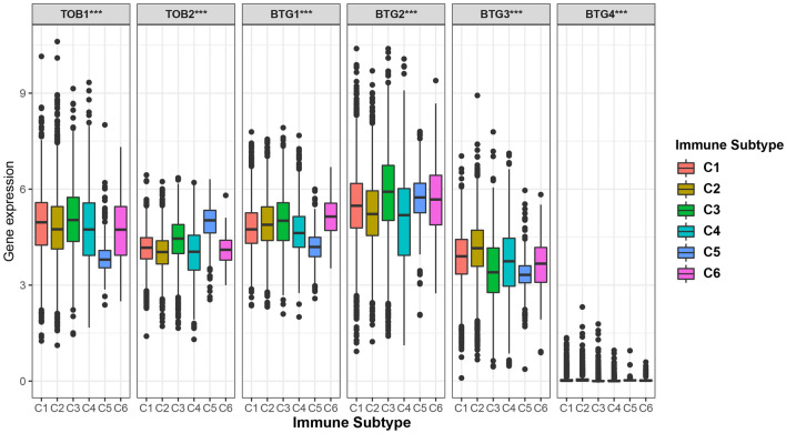 PMC10703880 – Fig6