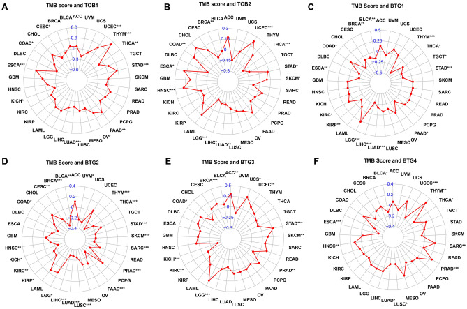 PMC10703880 – Fig9
