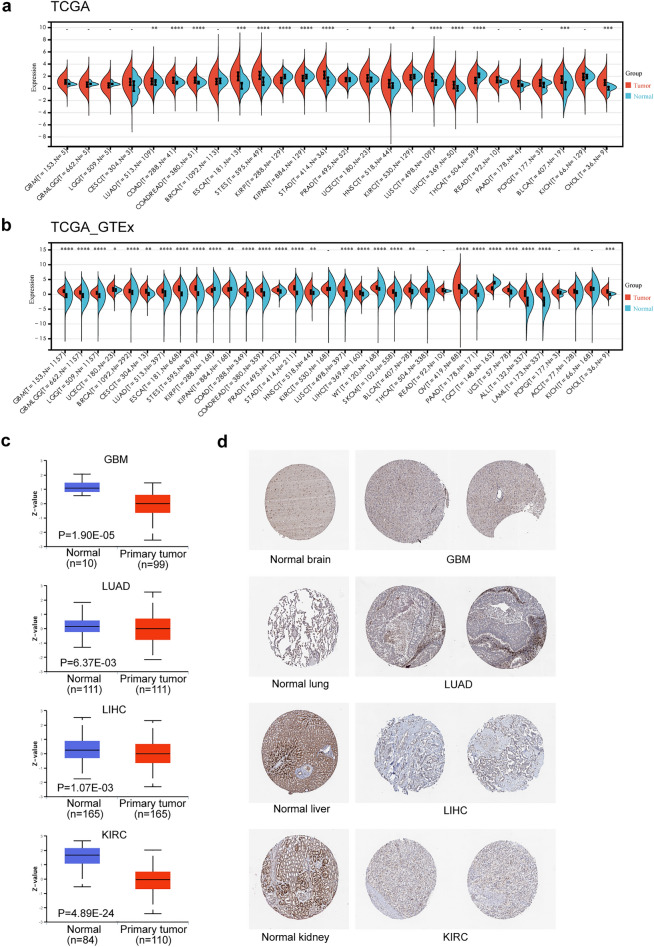 PMC10739704 – Fig1