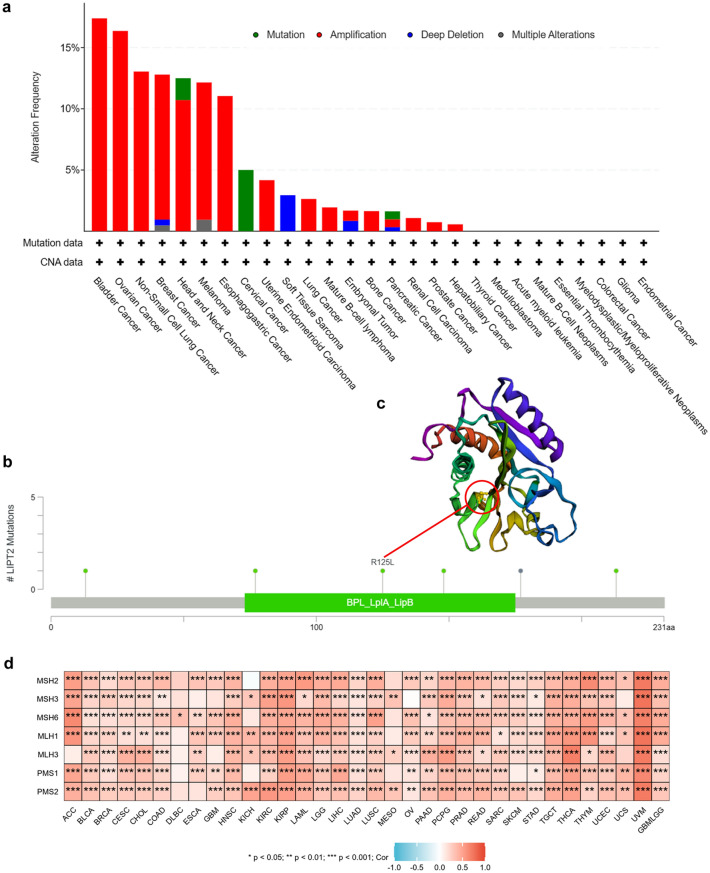 PMC10739704 – Fig3