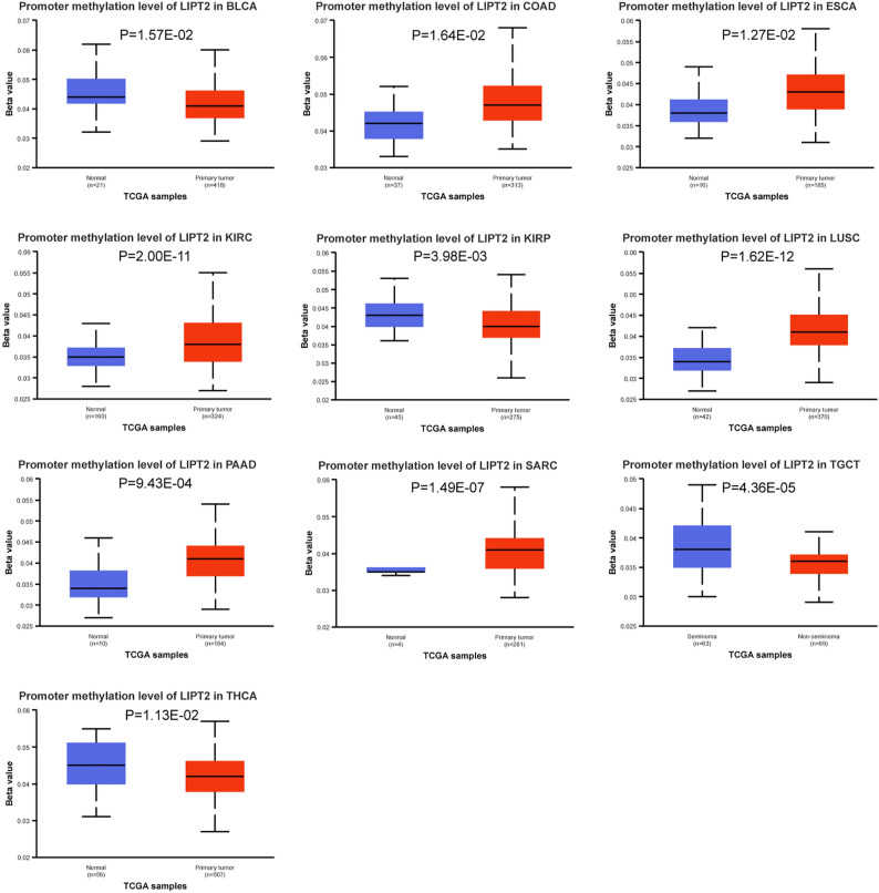 PMC10739704 – Fig4