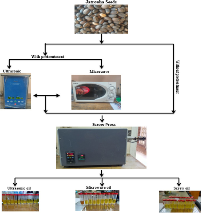 PMC10803296 – Fig1
