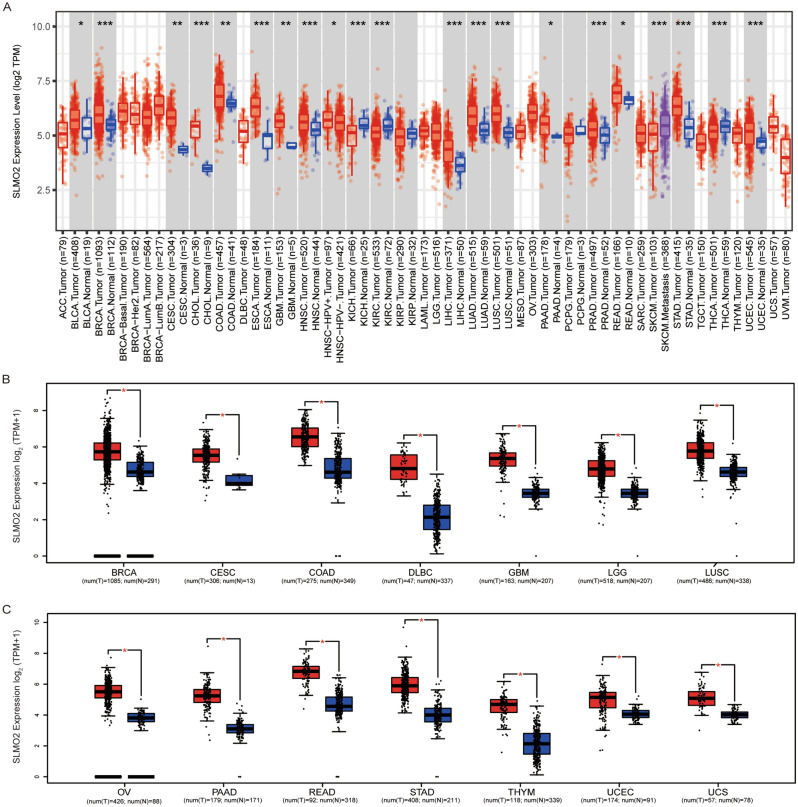 PMC10784594 – Fig1