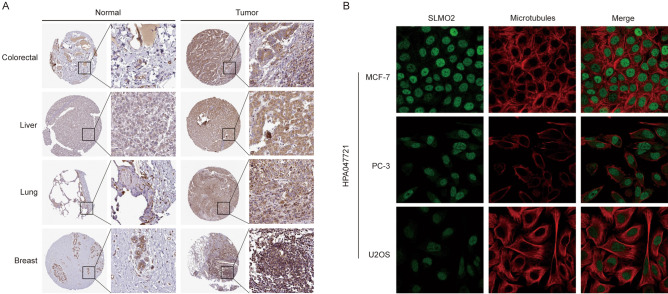 PMC10784594 – Fig2