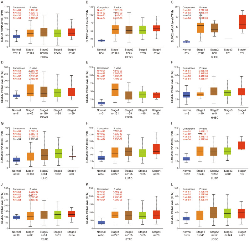 PMC10784594 – Fig3