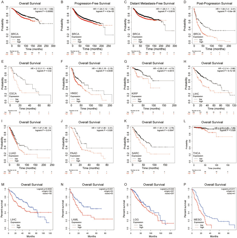 PMC10784594 – Fig4