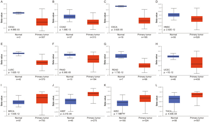 PMC10784594 – Fig6