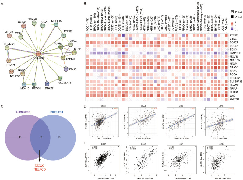 PMC10784594 – Fig8