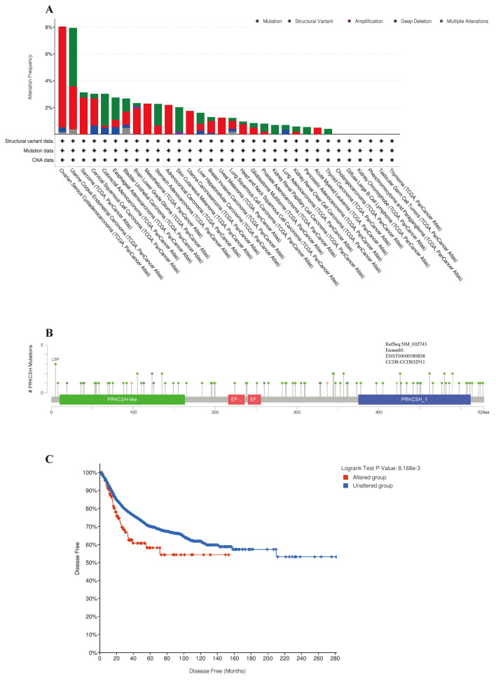 PMC10799934 – Fig10