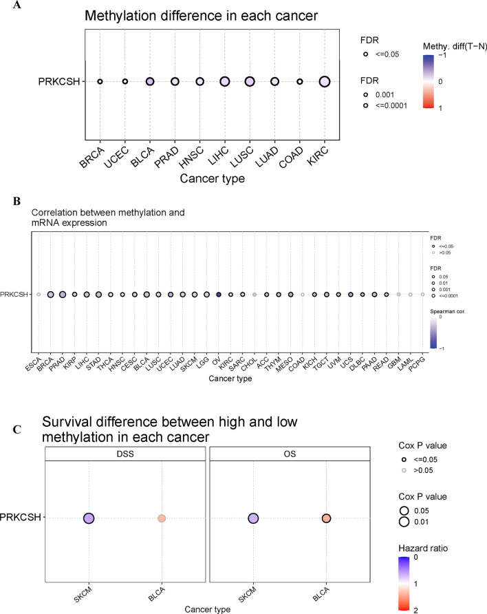 PMC10799934 – Fig11