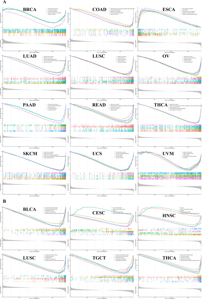 PMC10799934 – Fig12