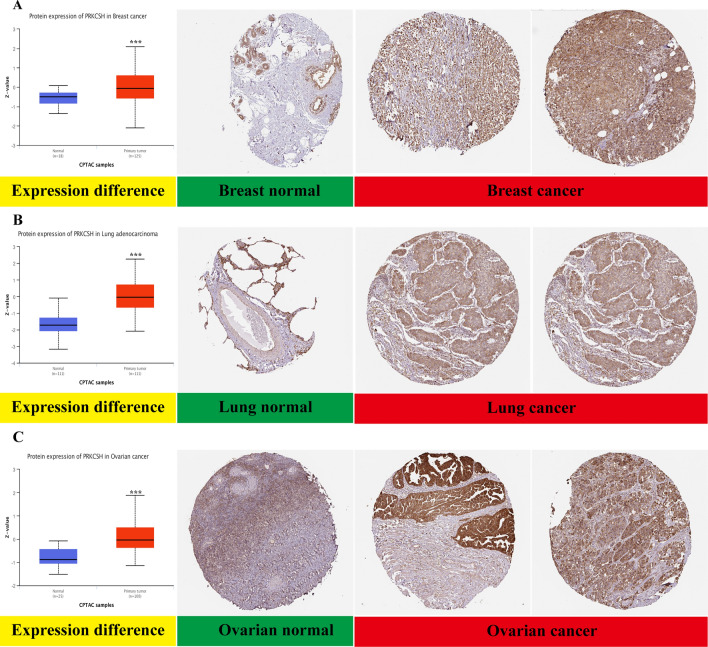 PMC10799934 – Fig2