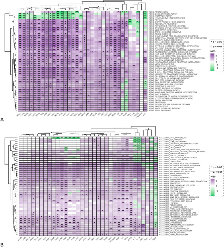 PMC10850363 – Fig10