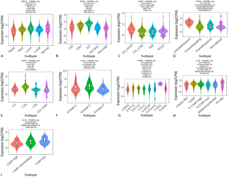 PMC10850363 – Fig7
