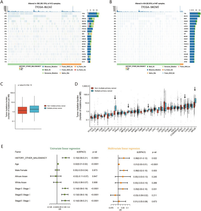 PMC10825147 – Fig5