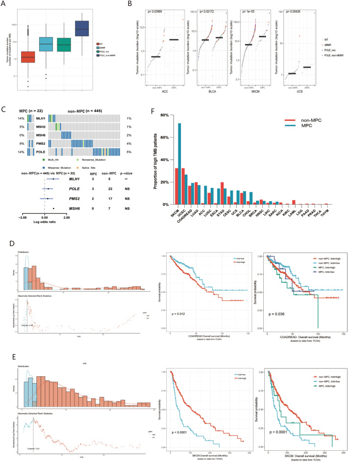 PMC10825147 – Fig6