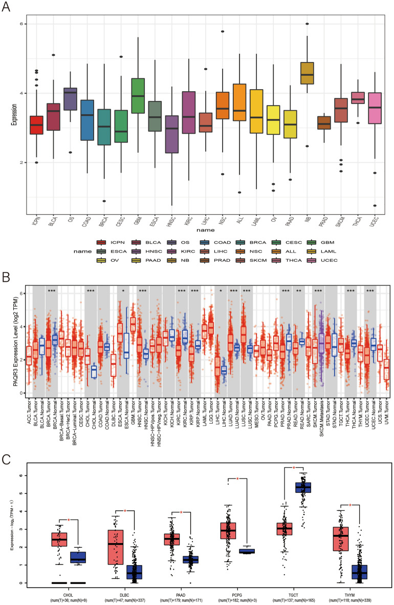 PMC10847497 – Fig1