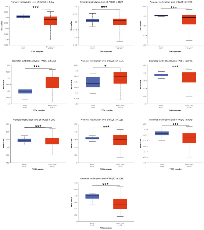 PMC10847497 – Fig6
