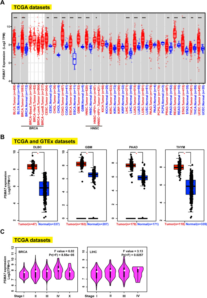 PMC10847487 – Fig3