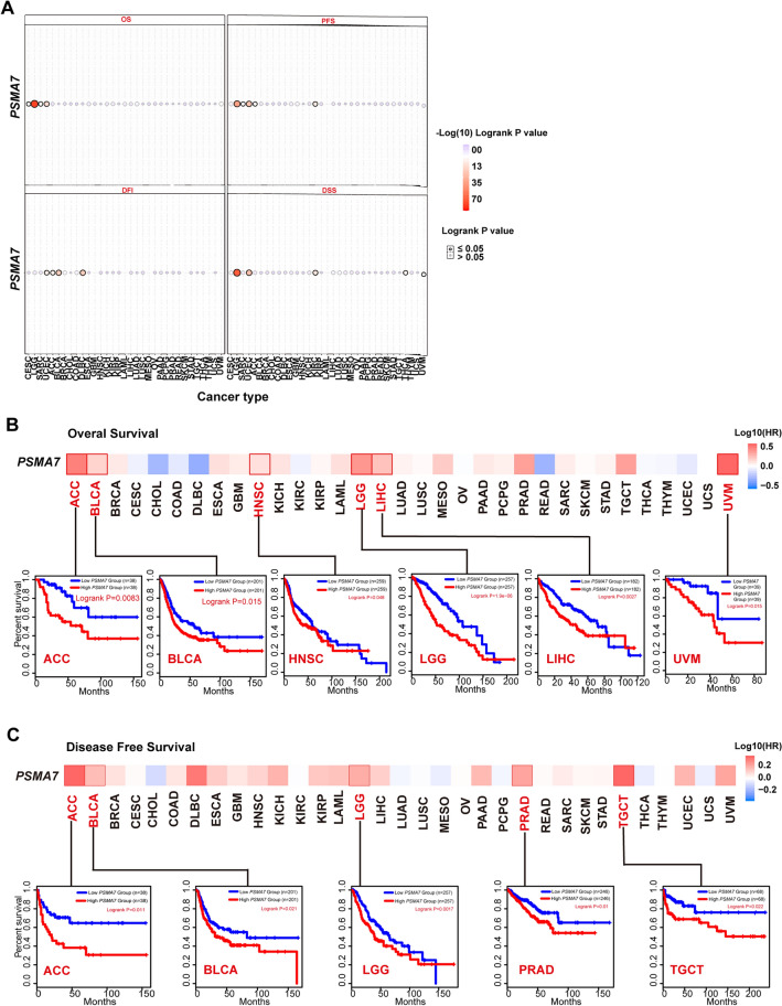 PMC10847487 – Fig4