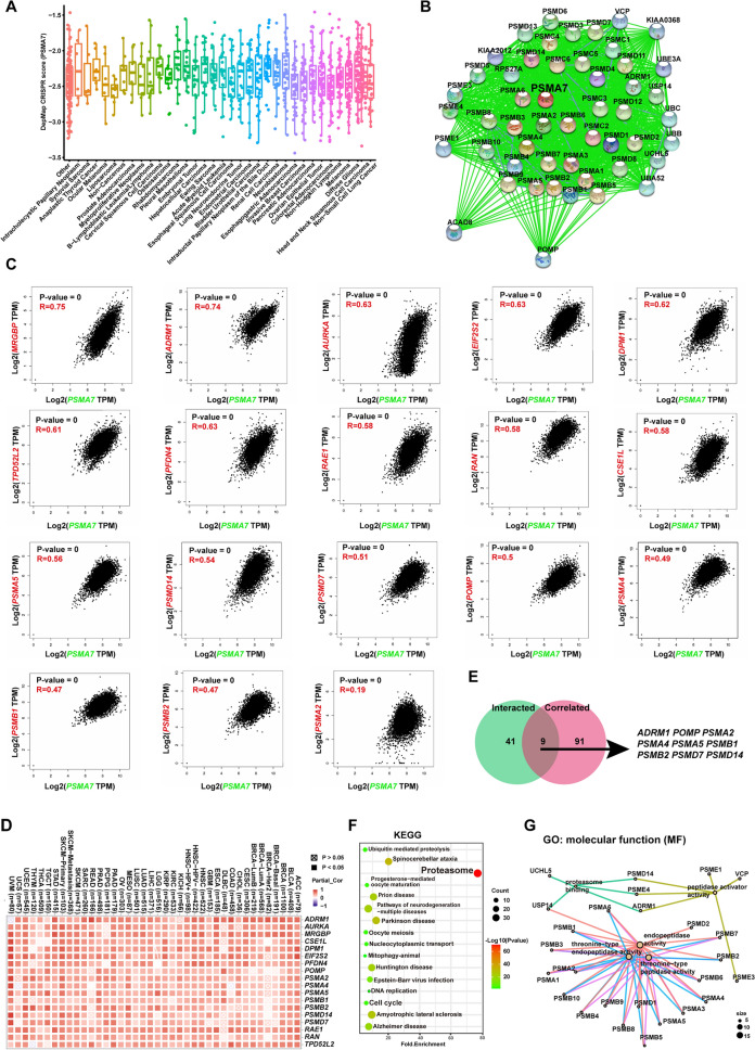 PMC10847487 – Fig5