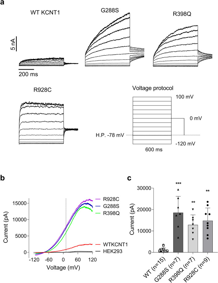PMC10858247 – Fig3