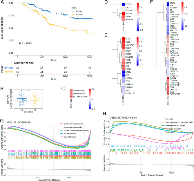 PMC10859372 – Fig10