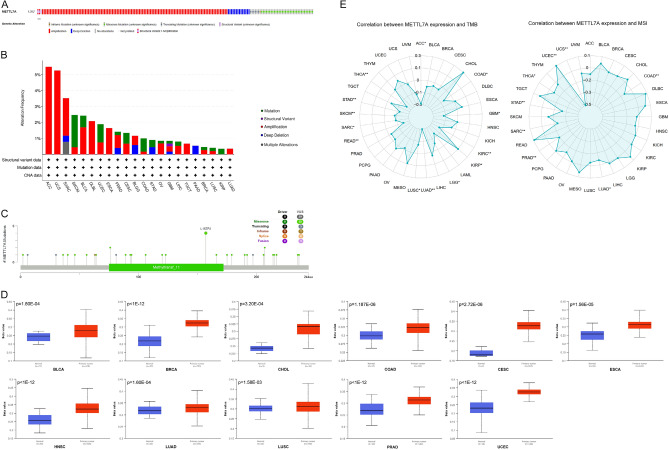 PMC10859372 – Fig4