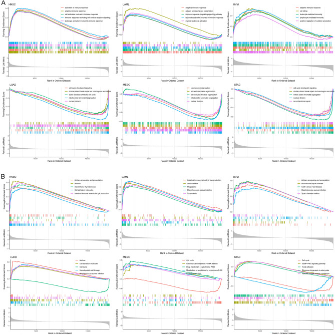 PMC10859372 – Fig8