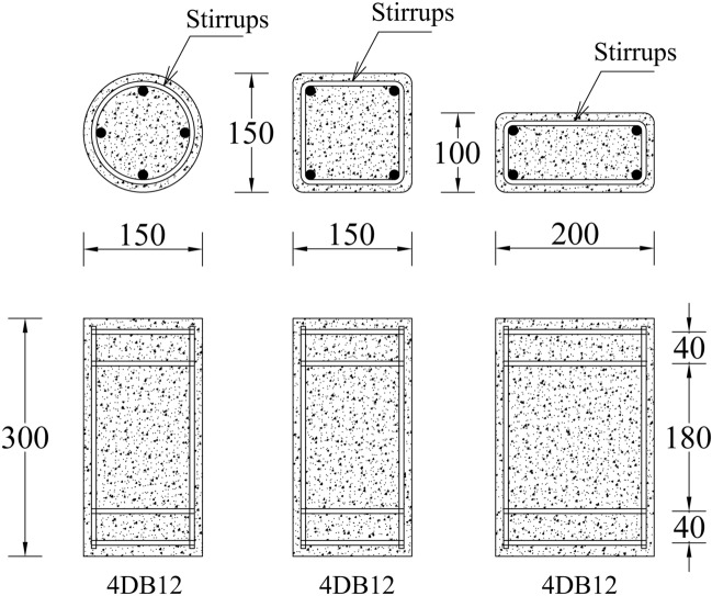 PMC10879512 – Fig1