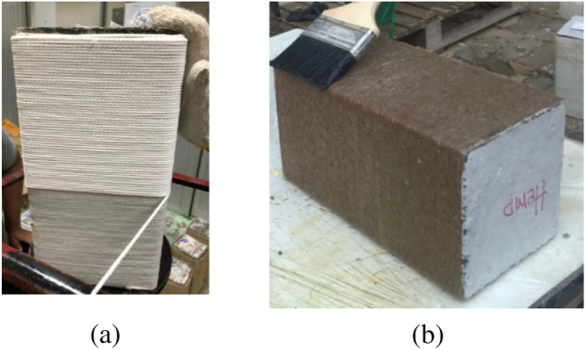 PMC10879512 – Fig4