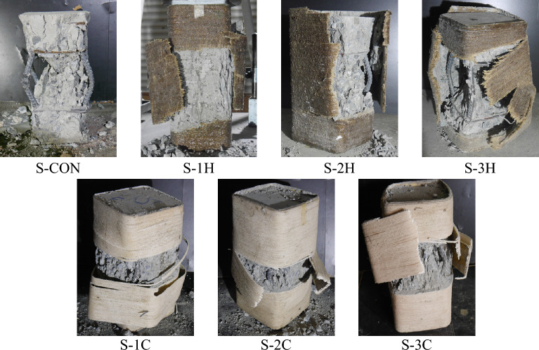PMC10879512 – Fig7