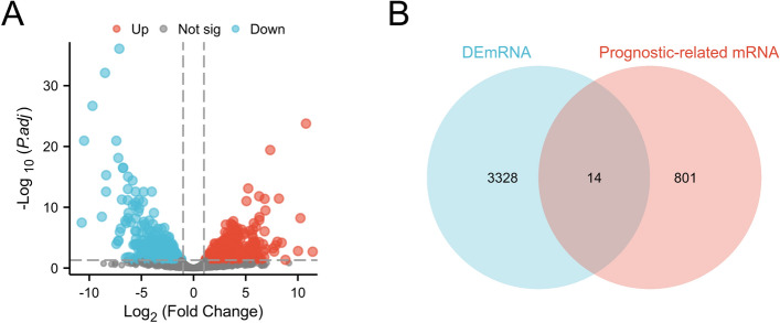 PMC10894204 – Fig1