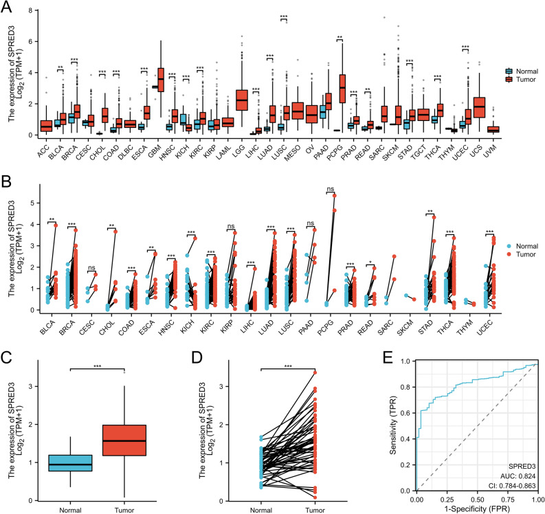PMC10894204 – Fig2
