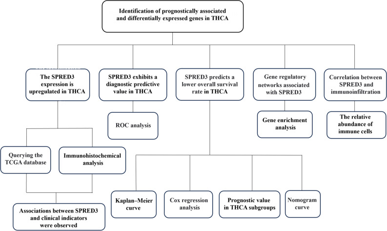 PMC10894204 – Fig8