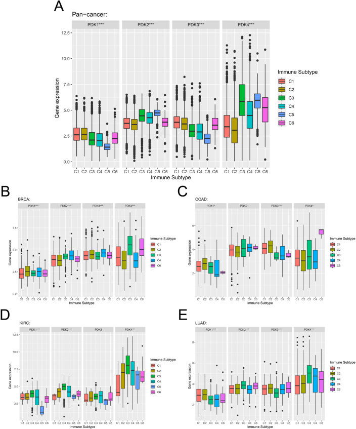 PMC10920909 – Fig10