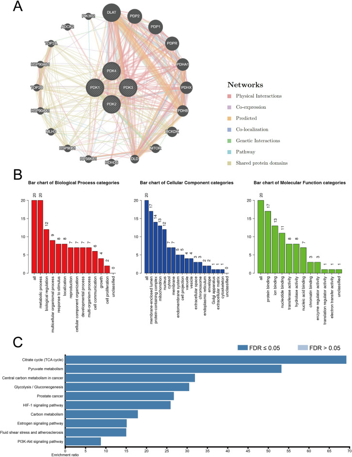 PMC10920909 – Fig12