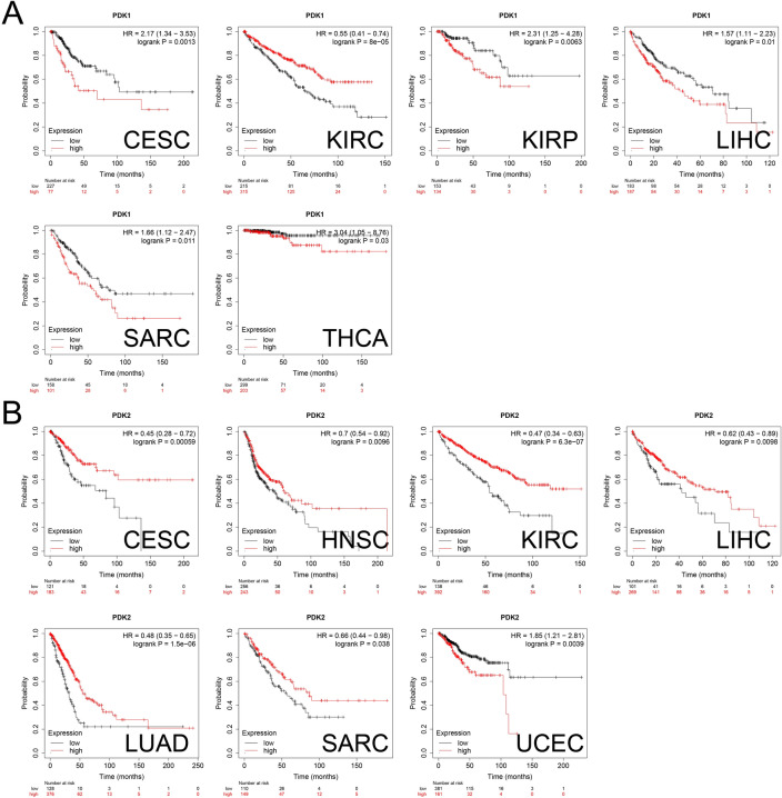 PMC10920909 – Fig4