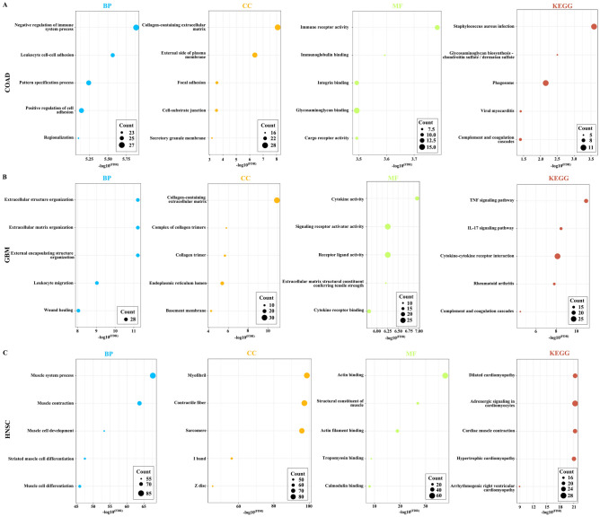 PMC10912109 – Fig11