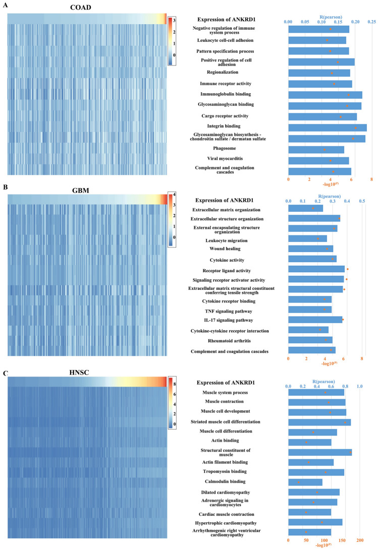 PMC10912109 – Fig12