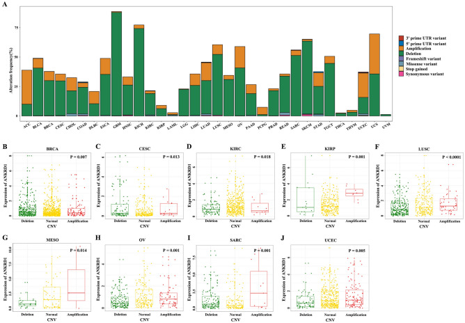 PMC10912109 – Fig5