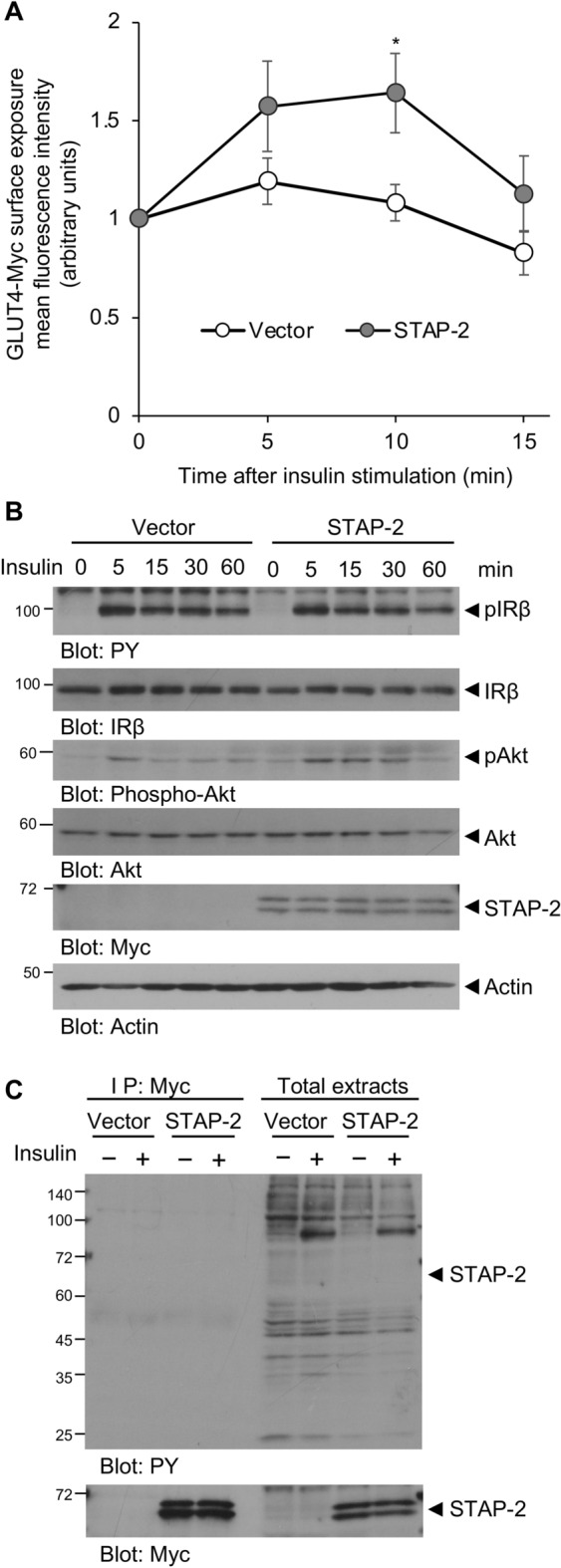 PMC10925025 – Fig3