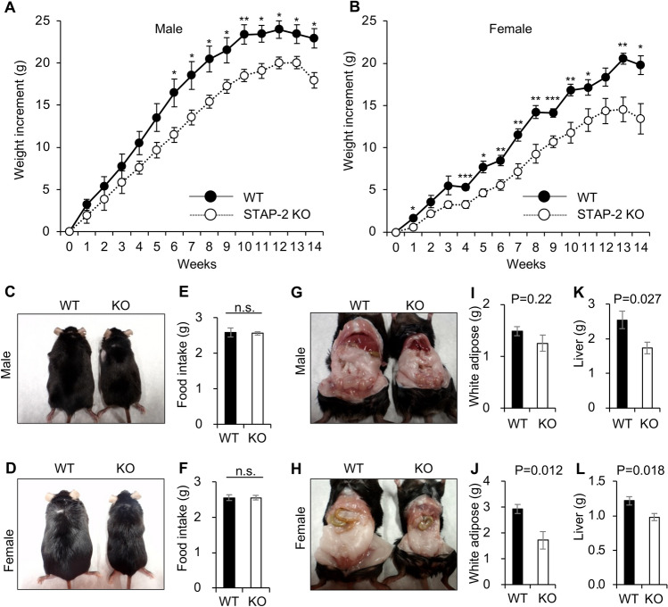 PMC10925025 – Fig5